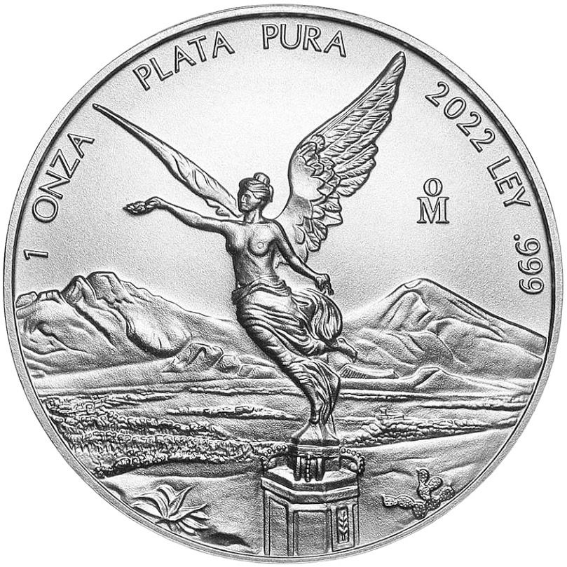 https://mexicoin.com.mx/assets/products/mains/producto_main_63c103af0c7b95.78573787-original.jpg
